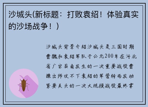 沙城头(新标题：打败袁绍！体验真实的沙场战争！)